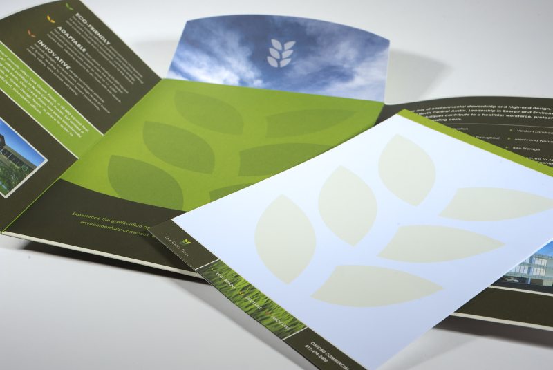 Pocket Folder and Brochure Design