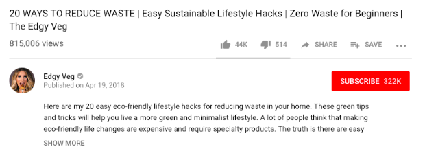 An example of a YouTube video description