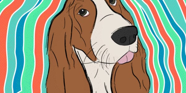 Dexter, Envision's Company Culture Dog