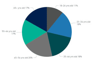 Pie chart of Bing's audience demographic