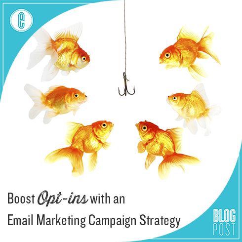 Email marketing campaign strategy
